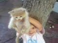 neila-le-petit-chato