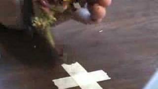 MiniWarGaming Fast Carnifex Painting (time lapsed)