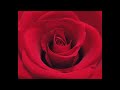 Di na natuto- Noel Cabangon with Lyrics.wmv