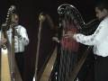 videos de LA BAMBA RIVARHARPS