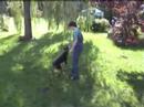 Jenson the MAD dog