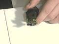 Space Ork Pt 06  - Ork Leather Pt 01