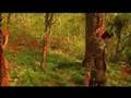 The Postal Service - Sleeping In