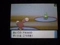 Pokemon Diamond & Pearl - Batalla Wi-fi