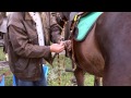 Stock Up For Hope - Supporters & Sponsors