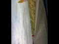 calibra na autostradzie (średnia prędkość 200 kmh ) part 1 1
