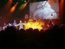 IN CONSTANT MOTION WITH AN ANT ODDISEY