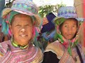 Sapa Vietnam