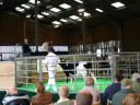 Ridgefield Durham Brosia sells for 9,500 guineas.