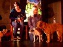 Doga with Brenda Bryan