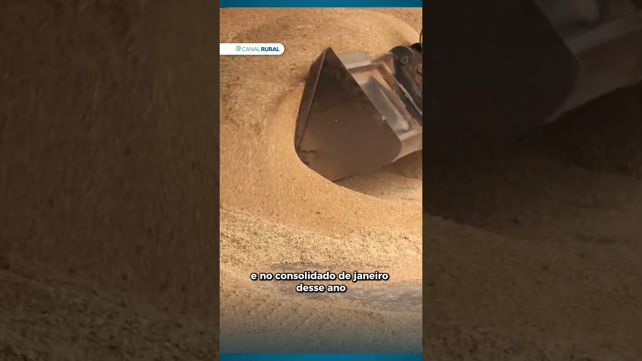 Falta de escoamento de milho ao Irã pode gerar sobreoferta no Brasil