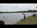 	    me fishing by myself on ford lk in ypsilanti,michigan catching 2 carp at the same time,(hence) working a double!! 1st fish was 12lb+ and the 2nd fish was 15lb+ 
