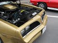 Walk around and look inside a perfect gold 1978 Trans Am