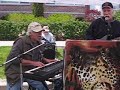 The Bongo Boys playing at Kenosha Harbor Market
