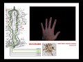 l3.06.03.diagrama l3.06.03.diagrama