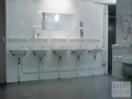 Video animado sexualidad