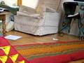 Surpris eunder the chair