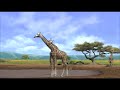 Afrika - first 10 minutes