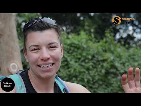 Lemosho Group Hiking Mount Kilimanjaro