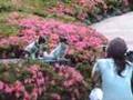 Tokyo  Roppongi Hills Puppy Humiliation