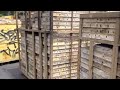 Click here to watch this video Torat Yisrael Construction, May 24, 2012