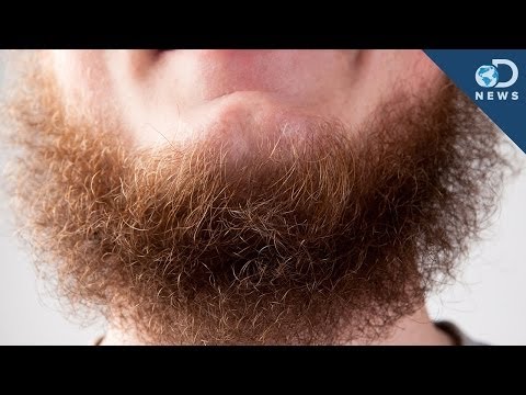 Sexy - Studies have shown that beards equate to age, masculinity and dominance. Society has decided that facial hair is considered