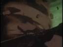 ninja resurrection amv death of a hater ninja resurrection amv death of a hater