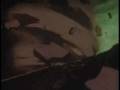 videos de ninja resurrection amv death of a hater