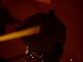 SWIS RUDIMENT
