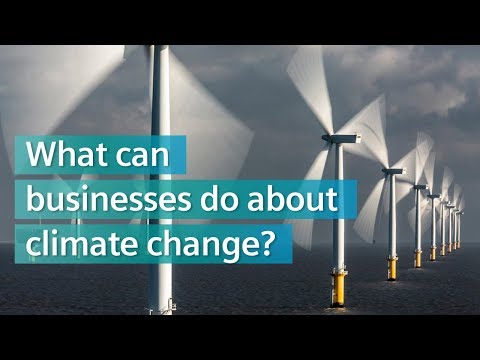 What can businesses do about Climate Change?