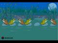 Pulo do Sapo - Frog Leap