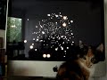 Honda watches the stars