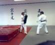 Ju Jutsu - Ushiro geri