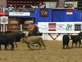 2009-NCHA-Sponsors-C
