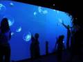PlayMotion - Aqua Series