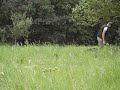 Cayas erster Wildapport