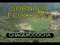 Reforestacion de Chakiqocha - Huancasancos
