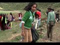 Reforestacion de Chakiqocha - Huancasancos