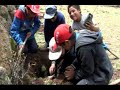 Reforestacion de Chakiqocha - Huancasancos