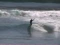Surfing Bamboo