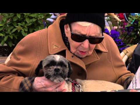 Pinkster Tournament 2013