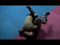 MMA smoker fight, Jonathan vs. Markus at BBQ Beatdown 20 @ Tiger Muay Thai and MMA, Phuket, Thailand