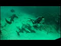 South Beach Belize - how it will effect Ambergris caye