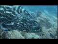 South Beach Belize - how it will effect Ambergris caye