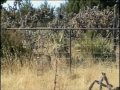 New Mexico Hunting Adventures