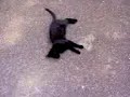 YouTubeサムネイル[FBNivpIfV0w] - 1枚目