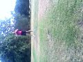 Jasmines cheer routine