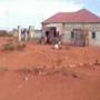 buuhoodle trip
