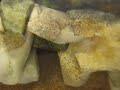 Aquarium filtration