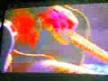 teledysk, klip, Paul Weller,- Clues